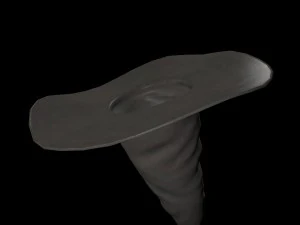 डायन टोपी 3D मॉडल