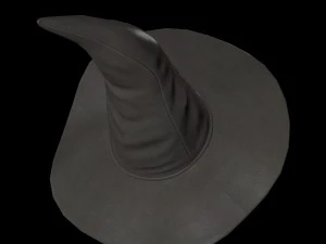 डायन टोपी 3D मॉडल