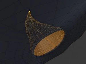 डायन टोपी 3D मॉडल