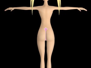 alisatoongirl 3D Model