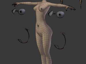 alisatoongirl 3D Model