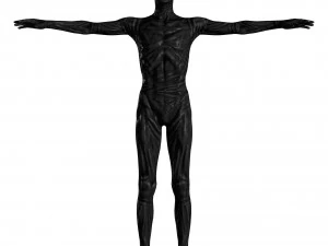 l&iacute;der do projeto Modelo 3D