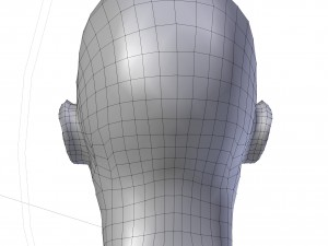 project leider 3D मॉडल