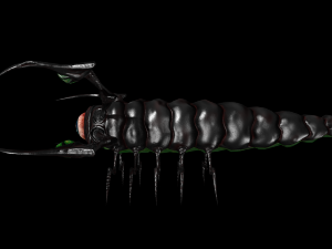 larva of the monster low poly Modèle 3D