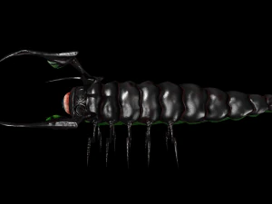 larva of the monster low poly 3D Model