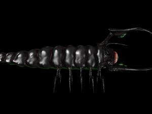 larva of the monster low poly Modèle 3D