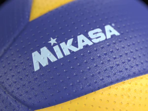 mikasa mva200 official ball 3D Model