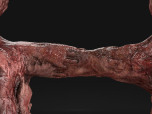 absorptionman 3D Model