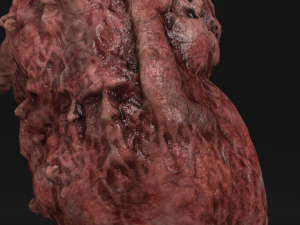 absorptionman 3D Model