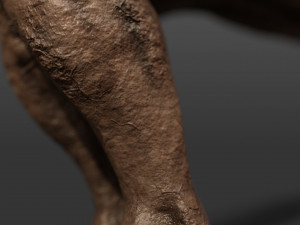 triskelion legs monster 3D Model