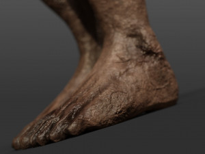 triskelion legs monster 3D Model