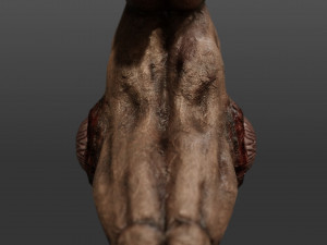triskelion legs monster 3D Model