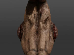 triskelion legs monster 3D Model