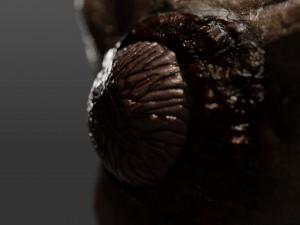 triskelion legs monster 3D Model