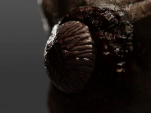 triskelion legs monster 3D Model