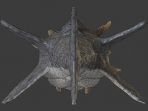 water terror monster lowpoly 3D-Modell