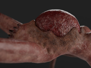 mother of monsters 3D Model