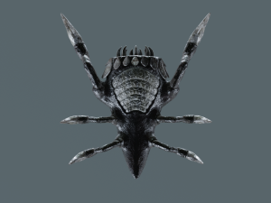 Monster Bug Model 3D