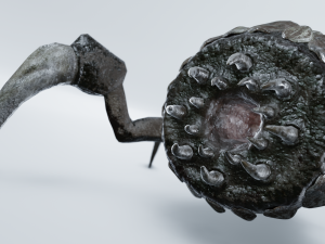 Monster Bug Model 3D