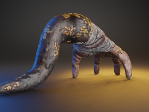 Hand Parasite 3D Model
