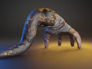 Hand Parasite 3D Model