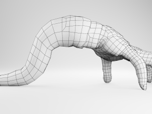 Hand Parasite 3D Model
