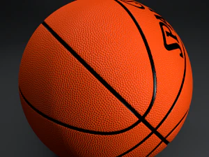 баскетбольный сполдинг 3D Модель