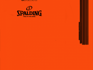 basketball spalding 3D Модель