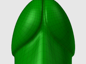 g&ouml;t tıkacı 3D Model