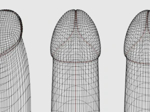 doublefunsextoy 3D Model