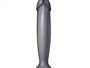 butt plug penis 3D-Modell