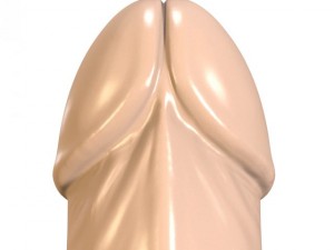 butt plug penis 3D-Modell