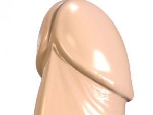 butt plug penis 3D-Modell