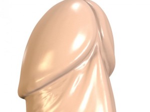 butt plug penis 3D-Modell
