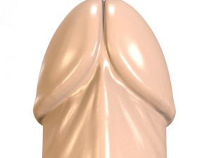butt plug penis 3D-Modell