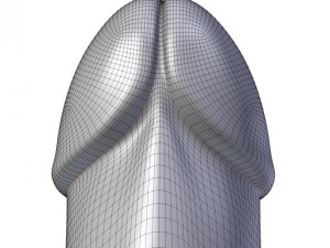 butt plug penis 3D-Modell