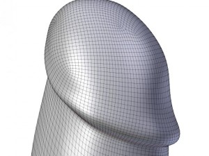 butt plug penis 3D-Modell