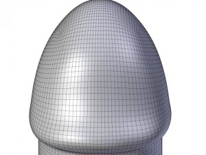 butt plug penis 3D-Modell