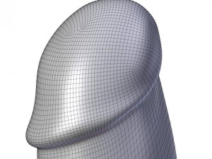 butt plug penis 3D-Modell