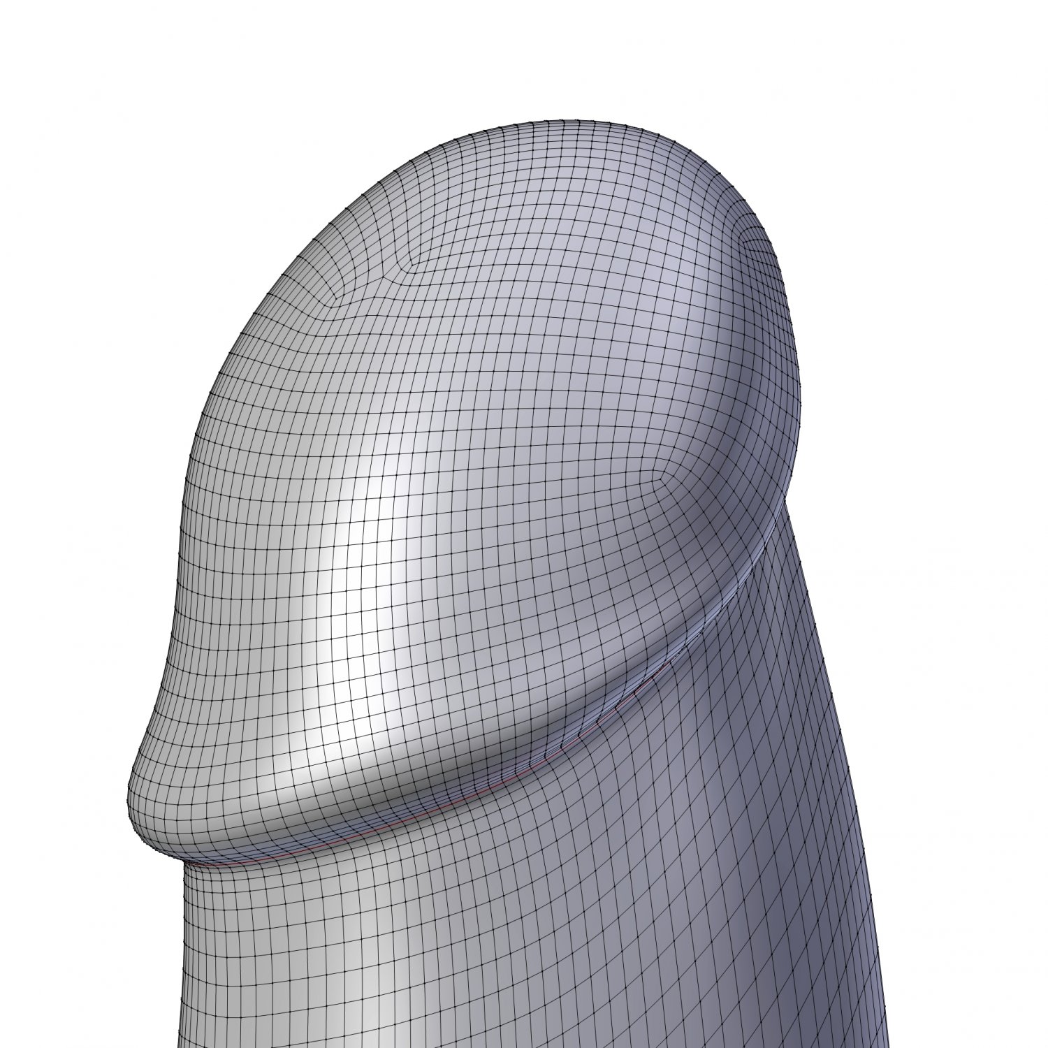 Butt Plug Penis 3D Model In Anatomy 3DExport