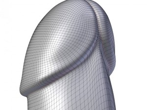 butt plug penis 3D-Modell