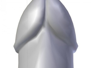 butt plug penis 3D-Modell