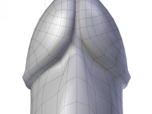 butt plug penis 3D-Modell