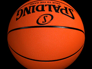 spalding basketball 3D Model