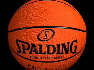 spalding basketball 3D Model