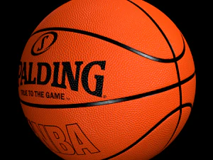 spalding basketball 3D Model