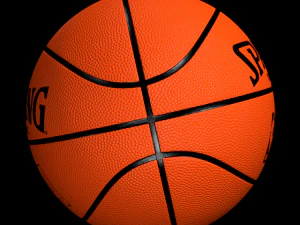 spalding basketball 3D Model