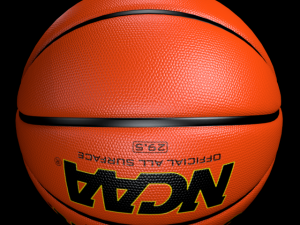basketball wilson 3D Model