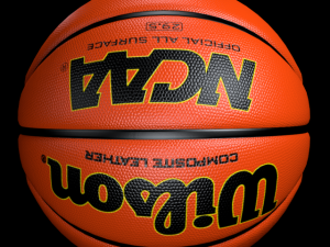 basketball wilson 3D Model