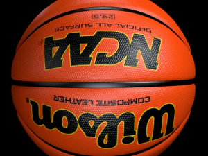 basketball wilson 3D Model